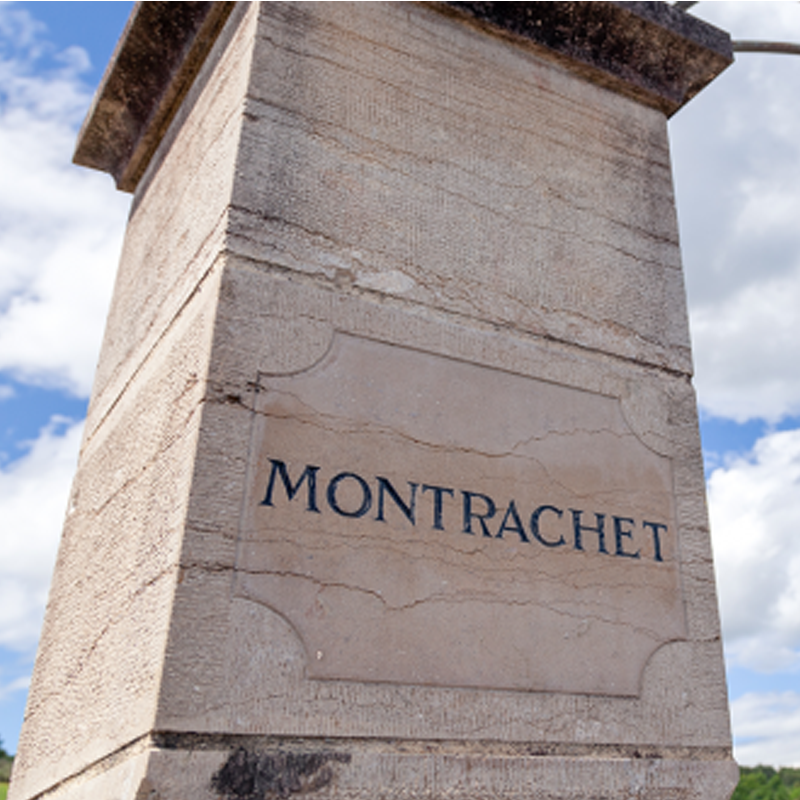 Talking Terroir - Le Montrachet Grand Cru